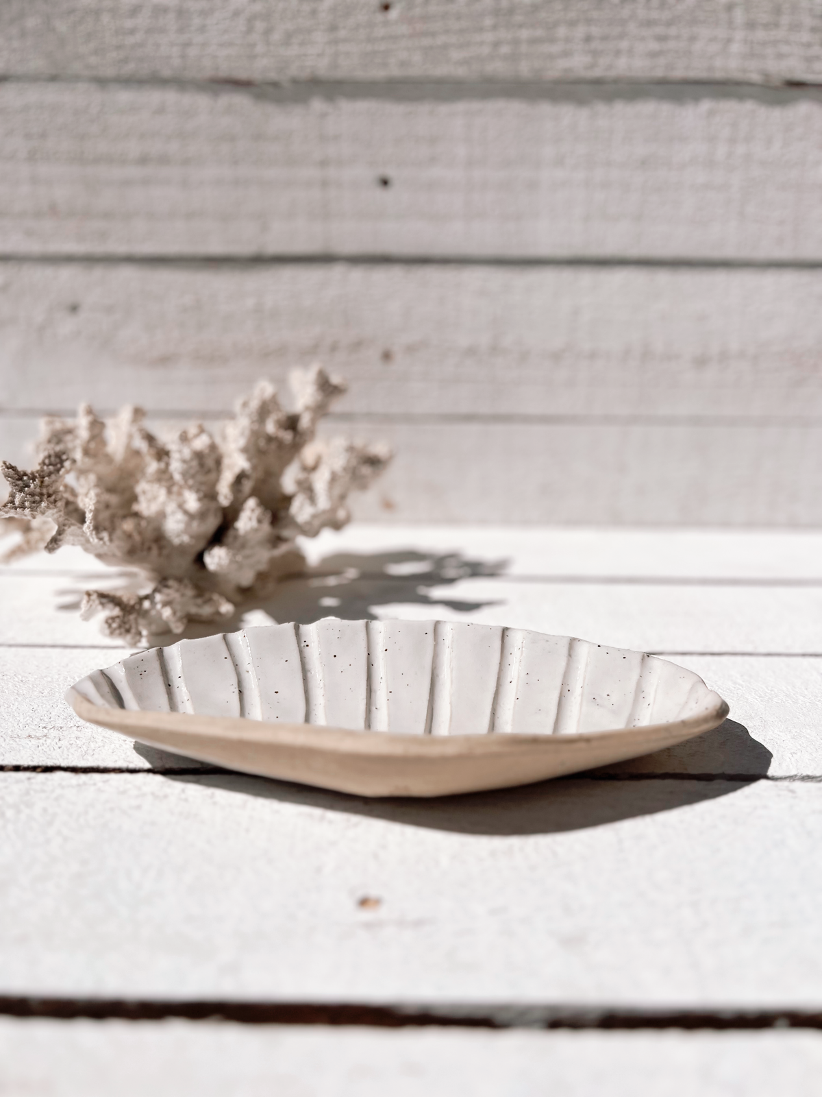 Soleil seashell dish: Natural