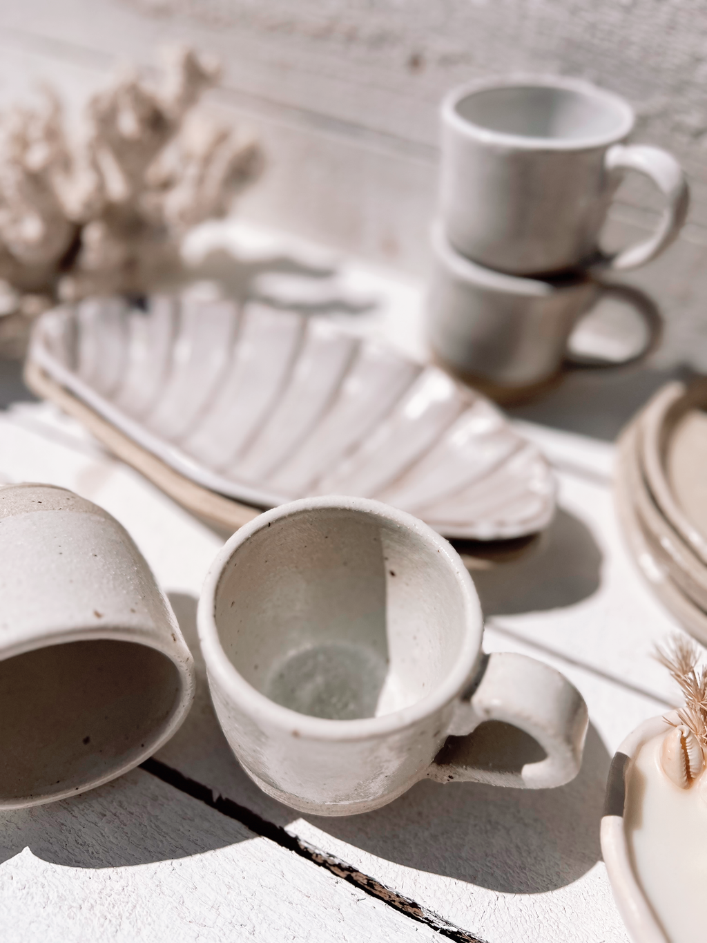Soleil seashell dish: Natural