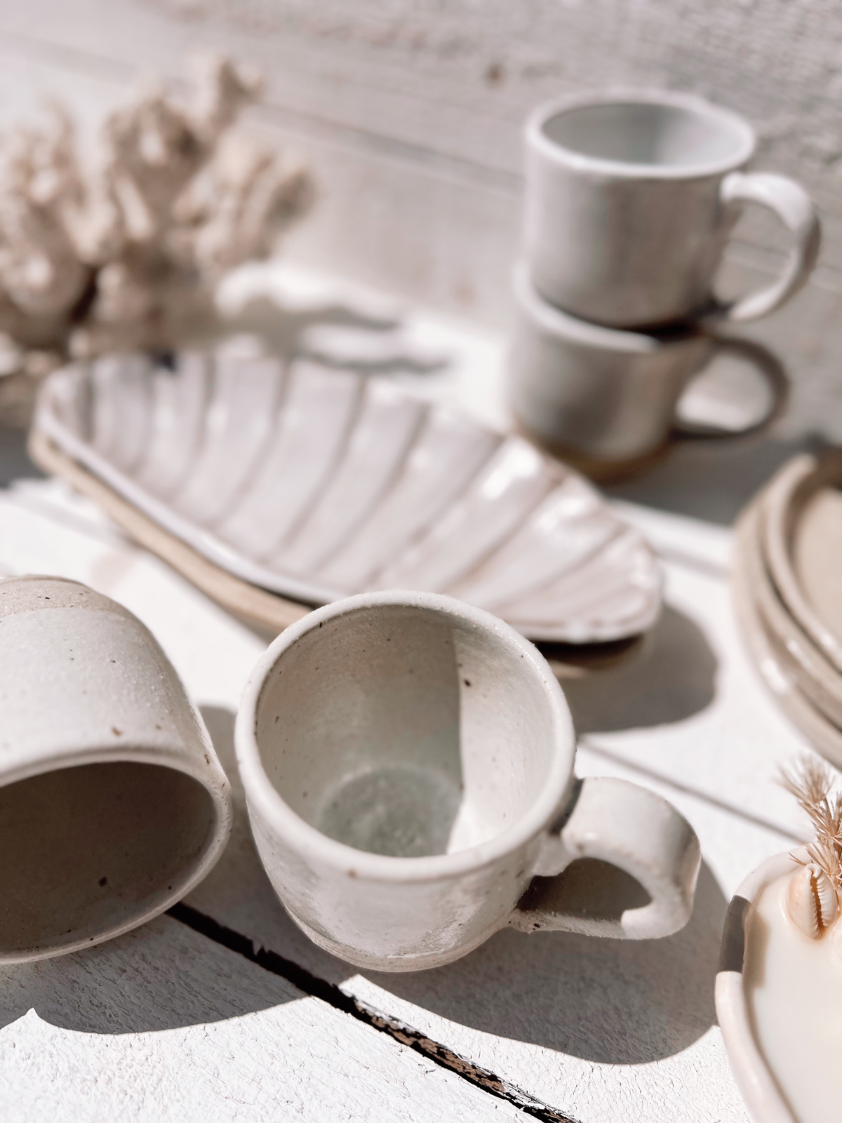 Soleil seashell dish: Natural