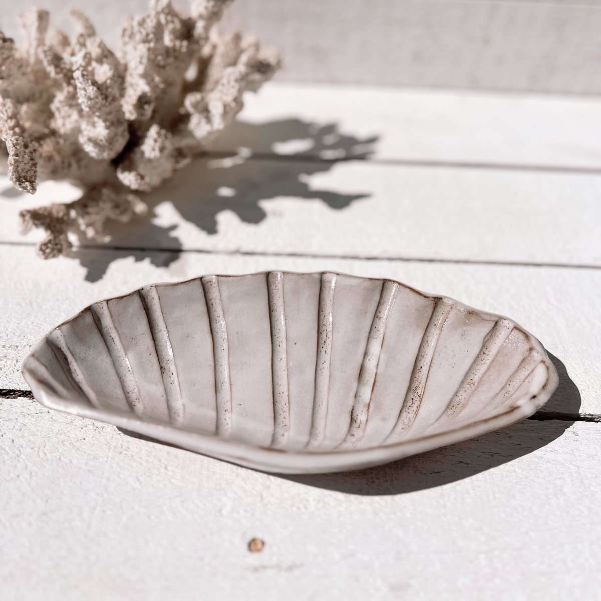 Soleil seashell dish: Natural