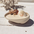 Abalone seashell ceramic soy candle | surf wax