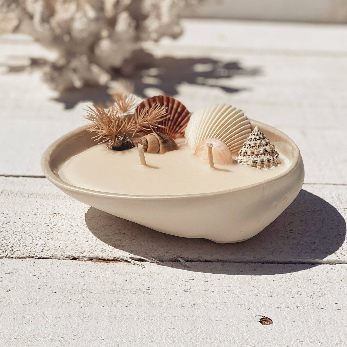 Abalone seashell ceramic soy candle | surf wax