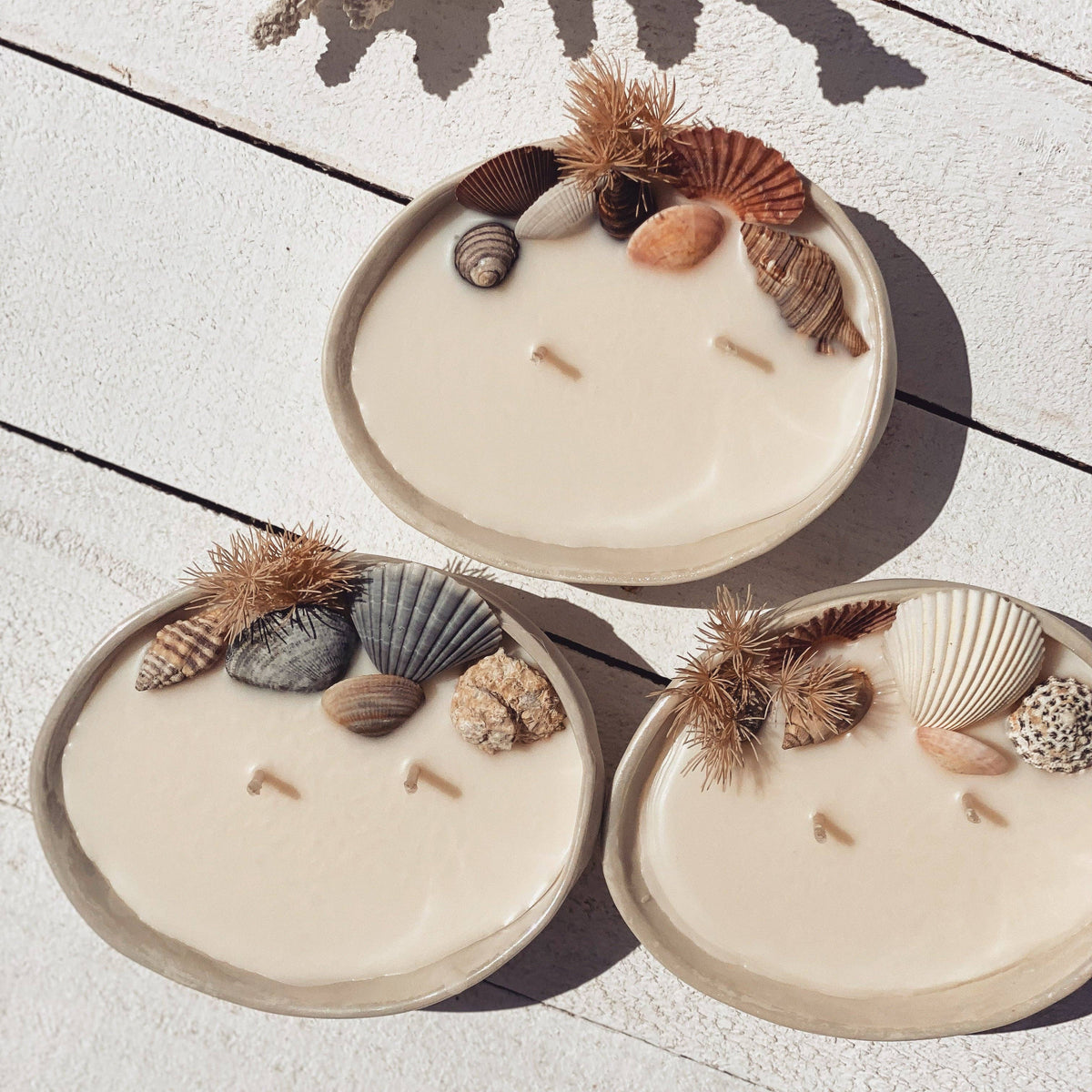 Abalone seashell ceramic soy candle | surf wax