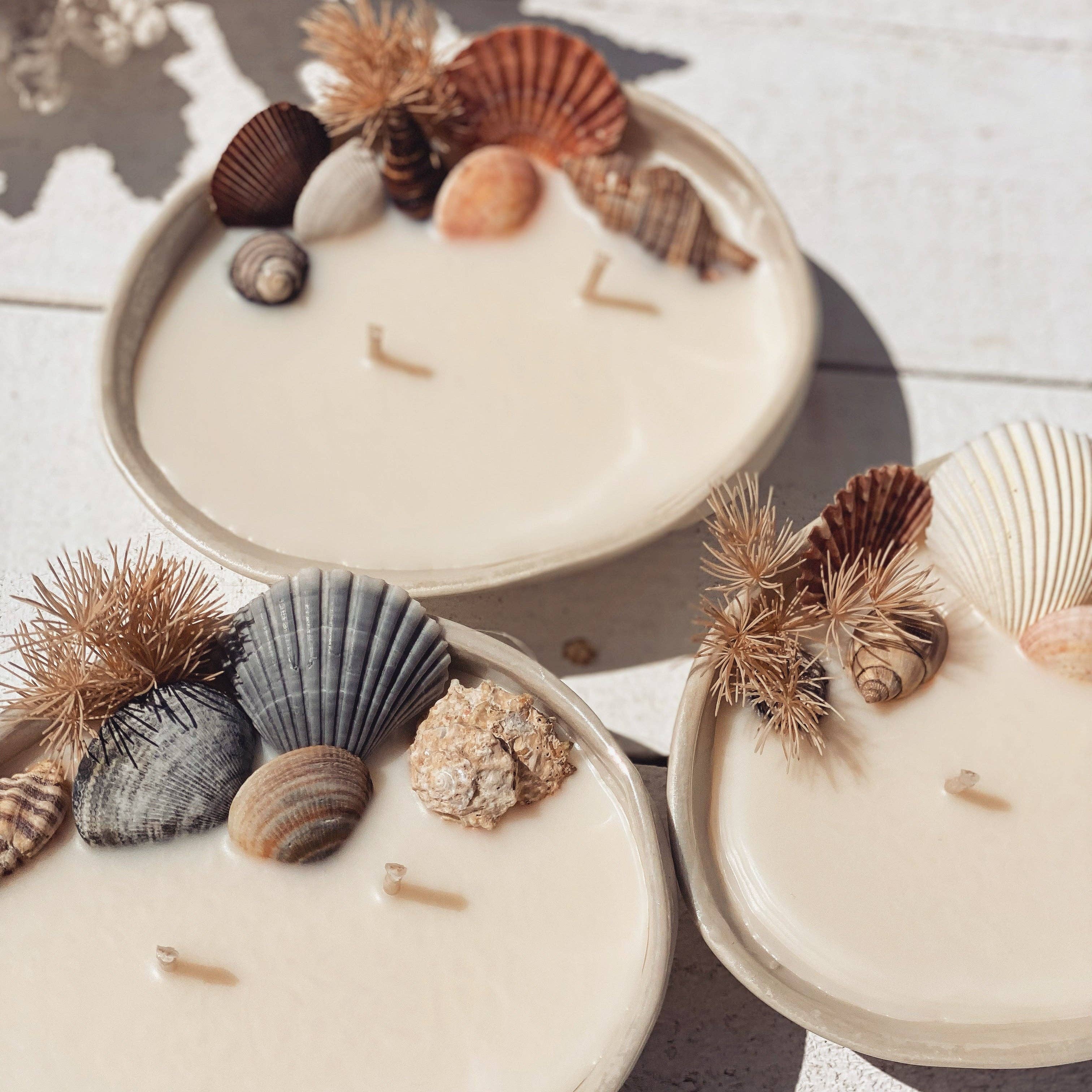 Abalone seashell ceramic soy candle | surf wax