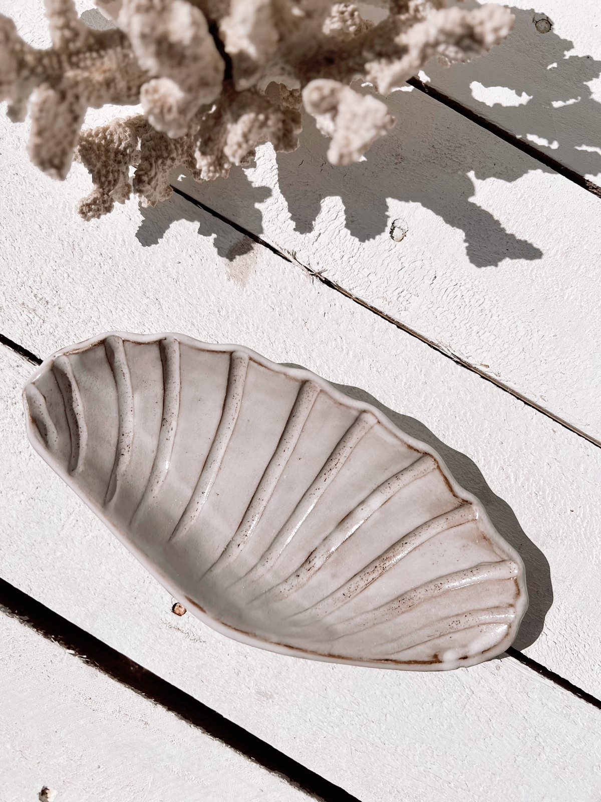 Soleil seashell dish: Natural