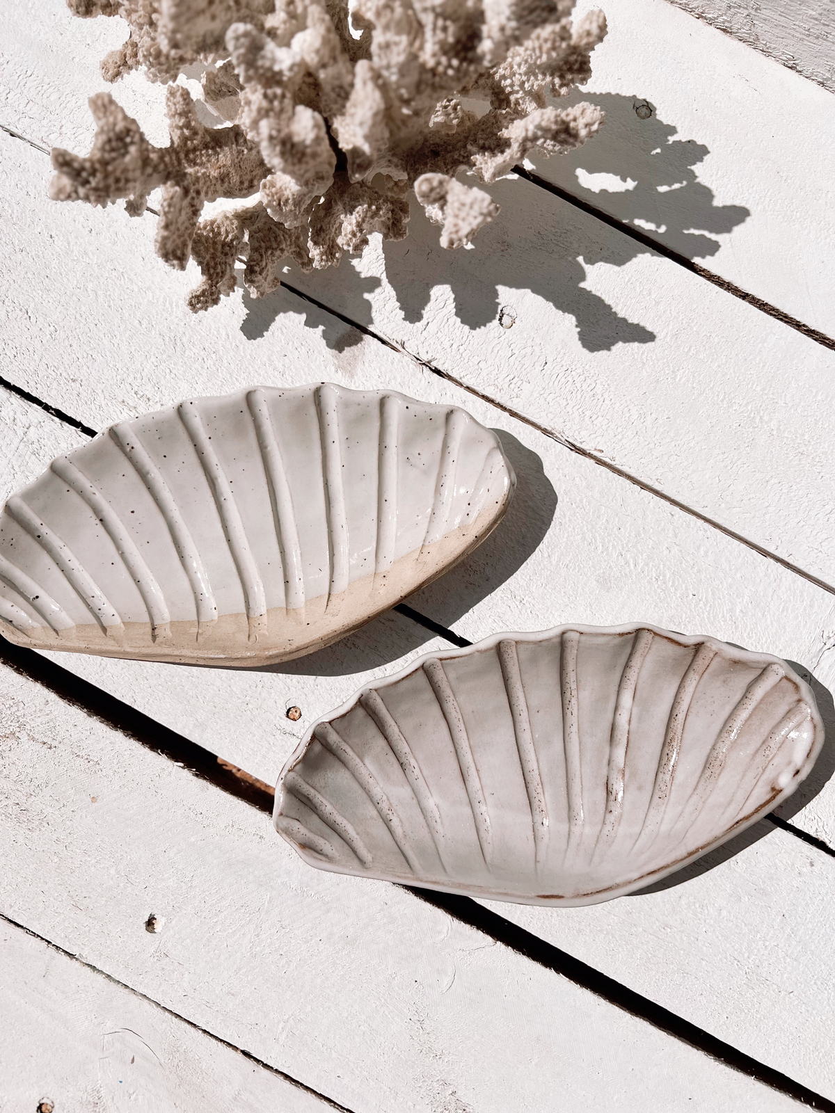 Soleil seashell dish: Natural