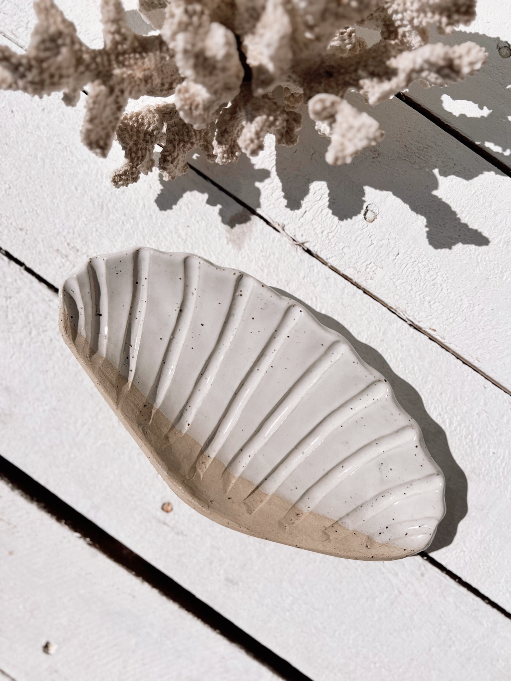 Soleil seashell dish: Natural