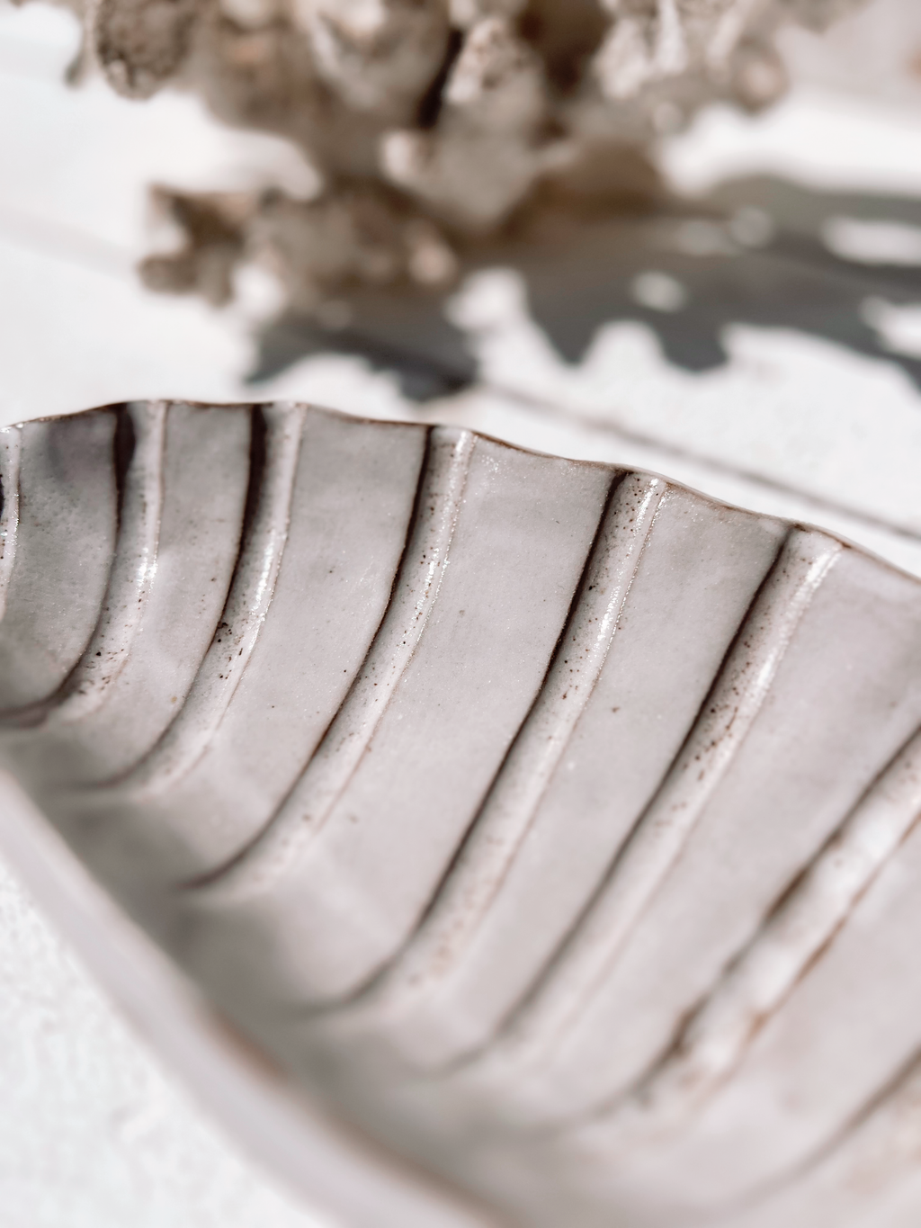 Soleil seashell dish: Natural