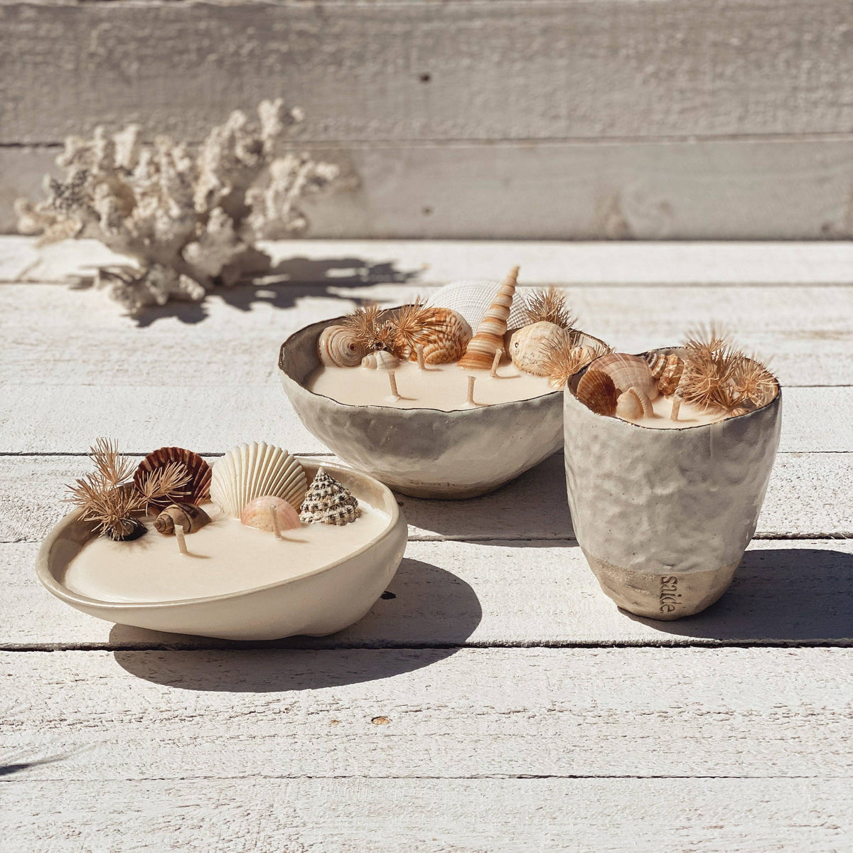 Abalone seashell ceramic soy candle | surf wax