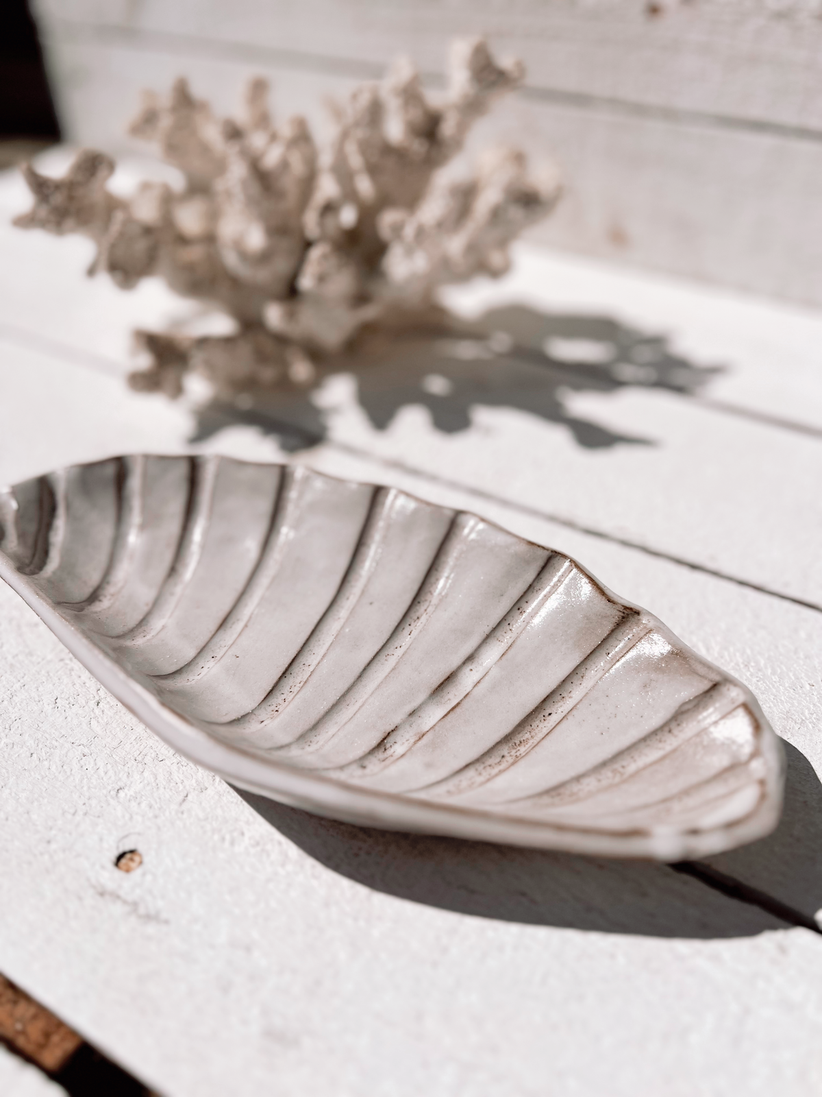 Soleil seashell dish: Natural